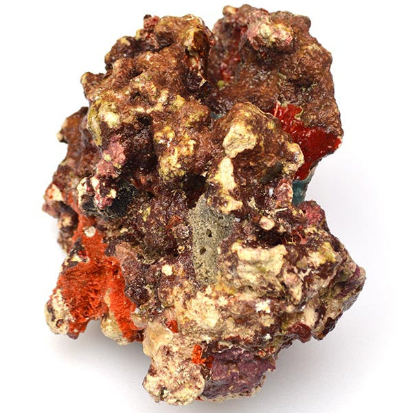Jakarta Reef Rock