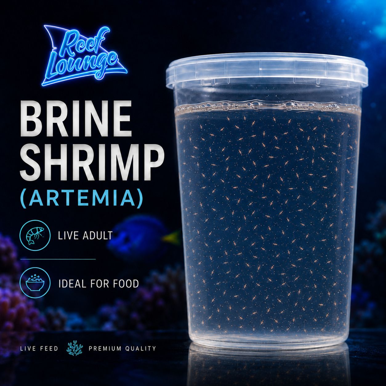 Brine Shrimp (Artemia) Live Culture Reef Lounge Coral 