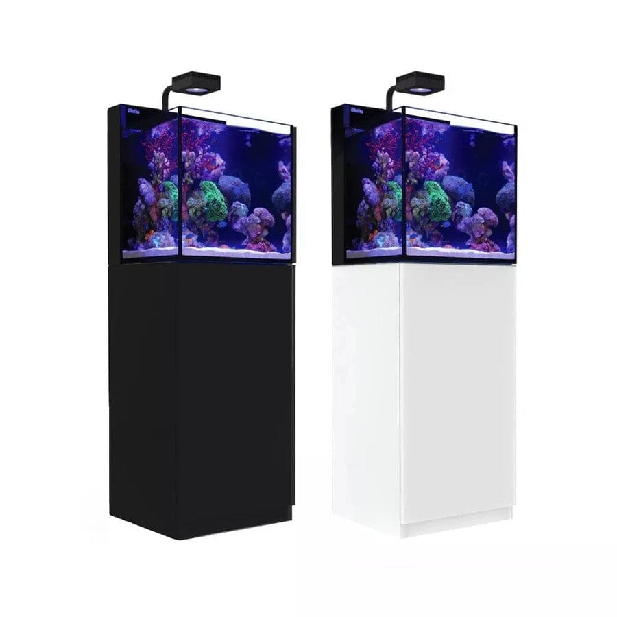 MAX NANO G2 Complete Reef System - Red Sea Reef Lounge Coral 