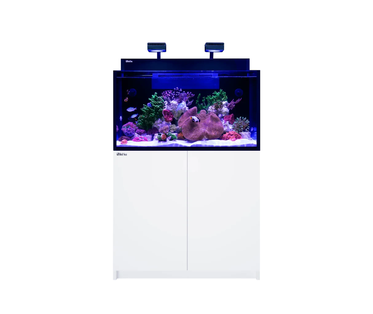 MAX NANO G2 XXL Complete Reef System - Red Sea Reef Lounge Coral 