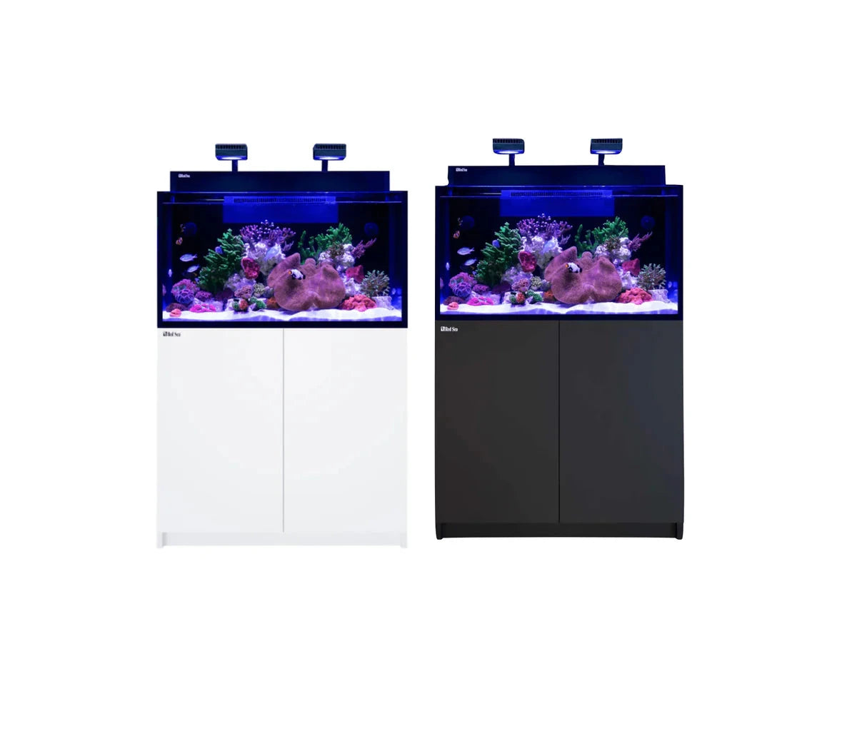 MAX NANO G2 XXL Complete Reef System - Red Sea Reef Lounge Coral 