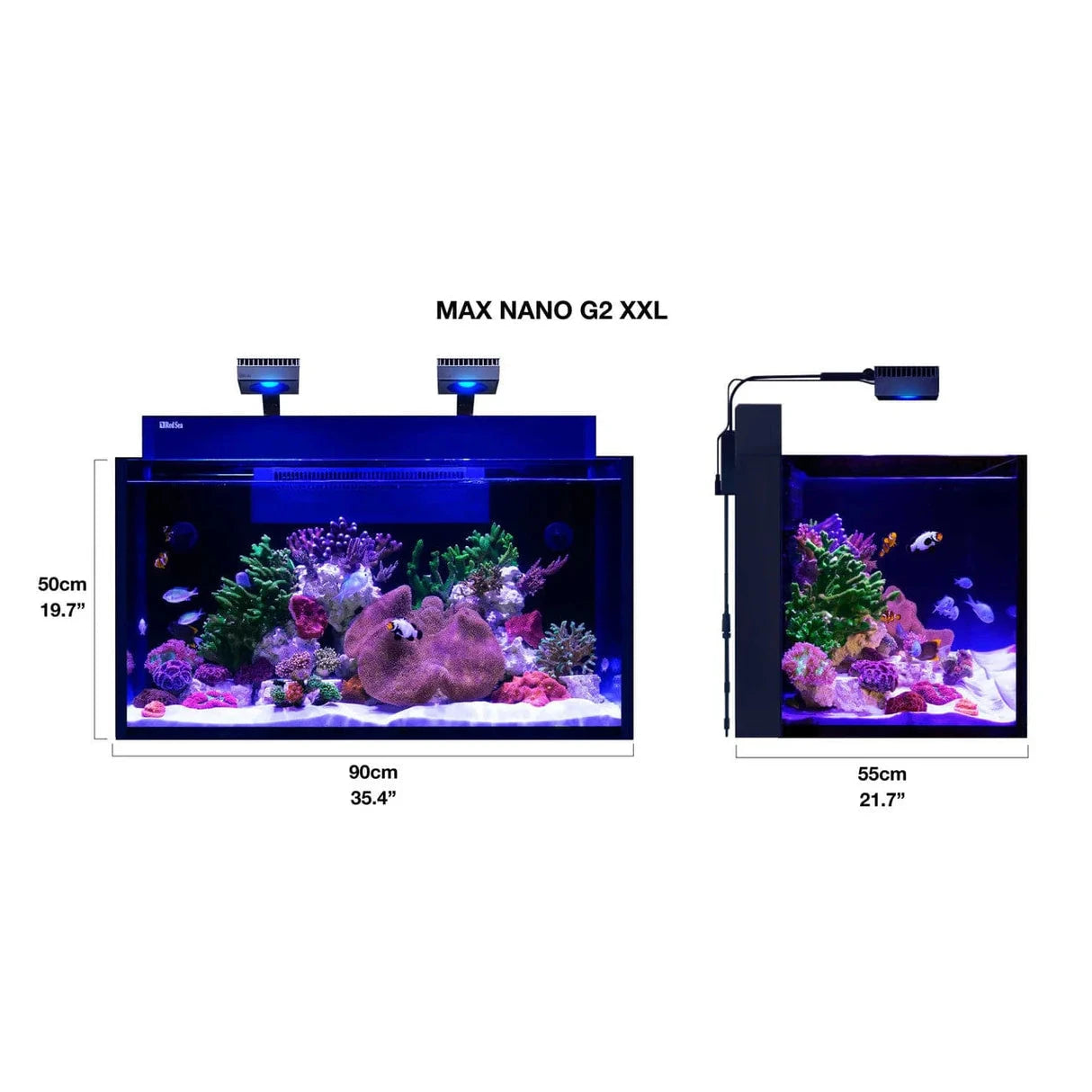 MAX NANO G2 XXL Complete Reef System - Red Sea Reef Lounge Coral 
