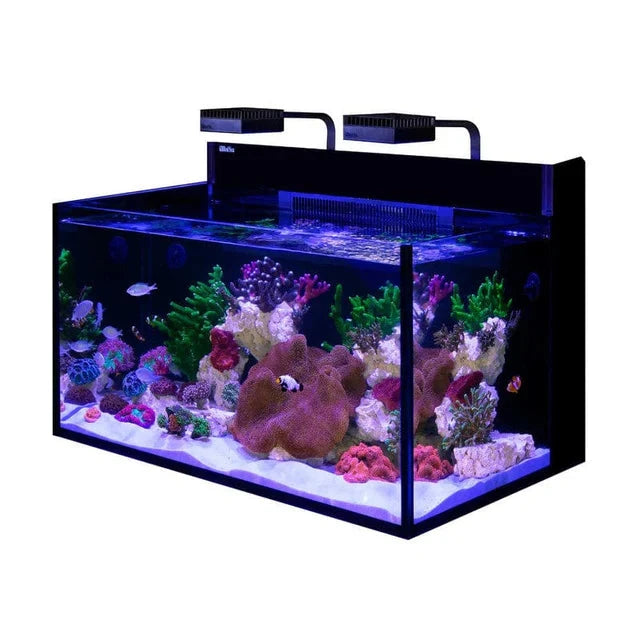 MAX NANO G2 XXL Complete Reef System - Red Sea Reef Lounge Coral 