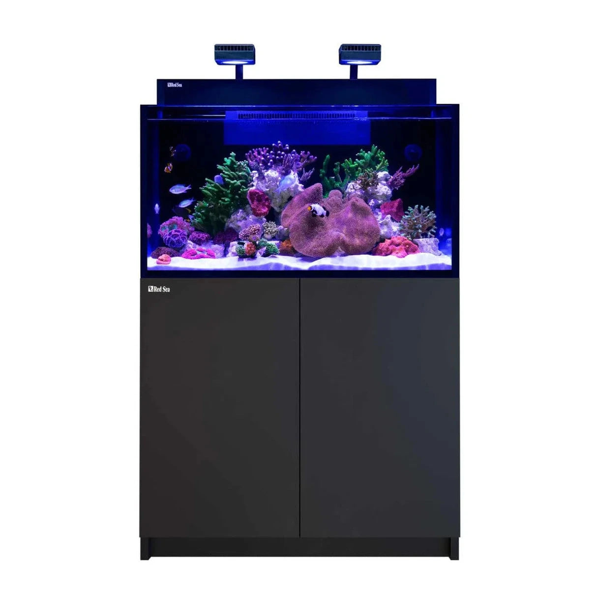 MAX NANO G2 XXL Complete Reef System - Red Sea Reef Lounge Coral 