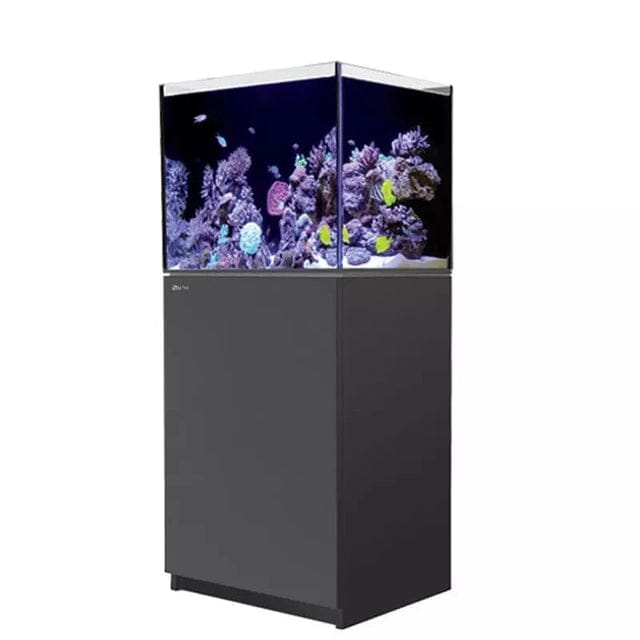 RED SEA REEFER 170 G2+ Reef Lounge Coral 