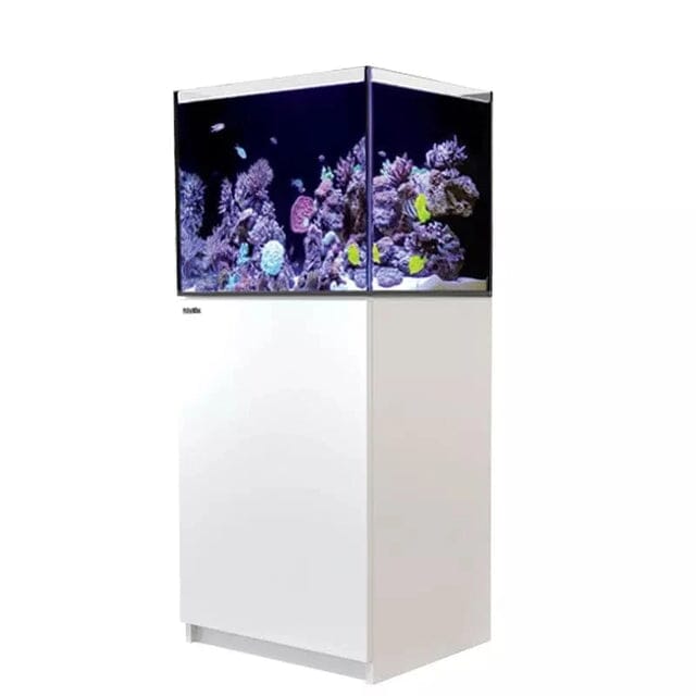 RED SEA REEFER 170 G2+ Reef Lounge Coral 