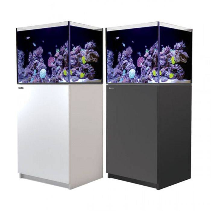 RED SEA REEFER 170 G2+ Reef Lounge Coral 
