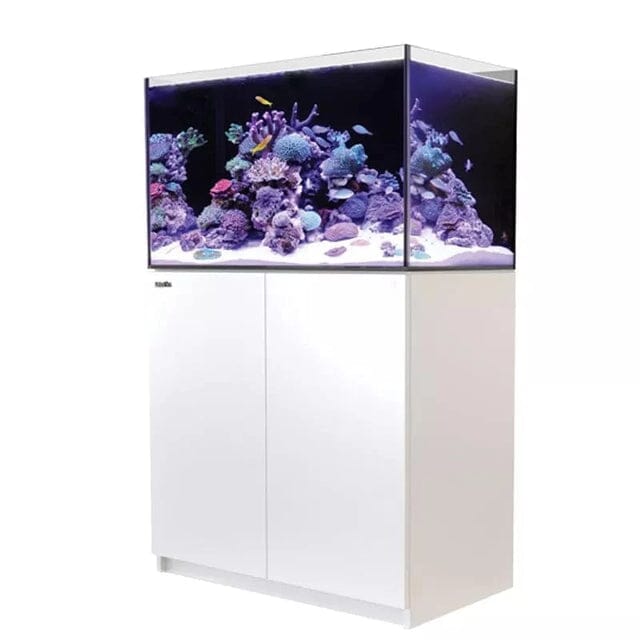 RED SEA REEFER 250 G2+ Reef Lounge Coral 