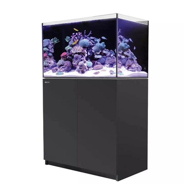 RED SEA REEFER 250 G2+ Reef Lounge Coral 