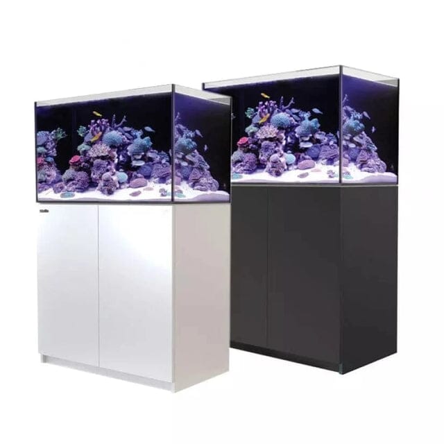 RED SEA REEFER 250 G2+ Reef Lounge Coral 