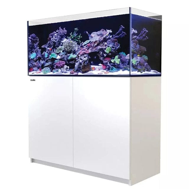 RED SEA REEFER 350 G2+ Reef Lounge Coral 