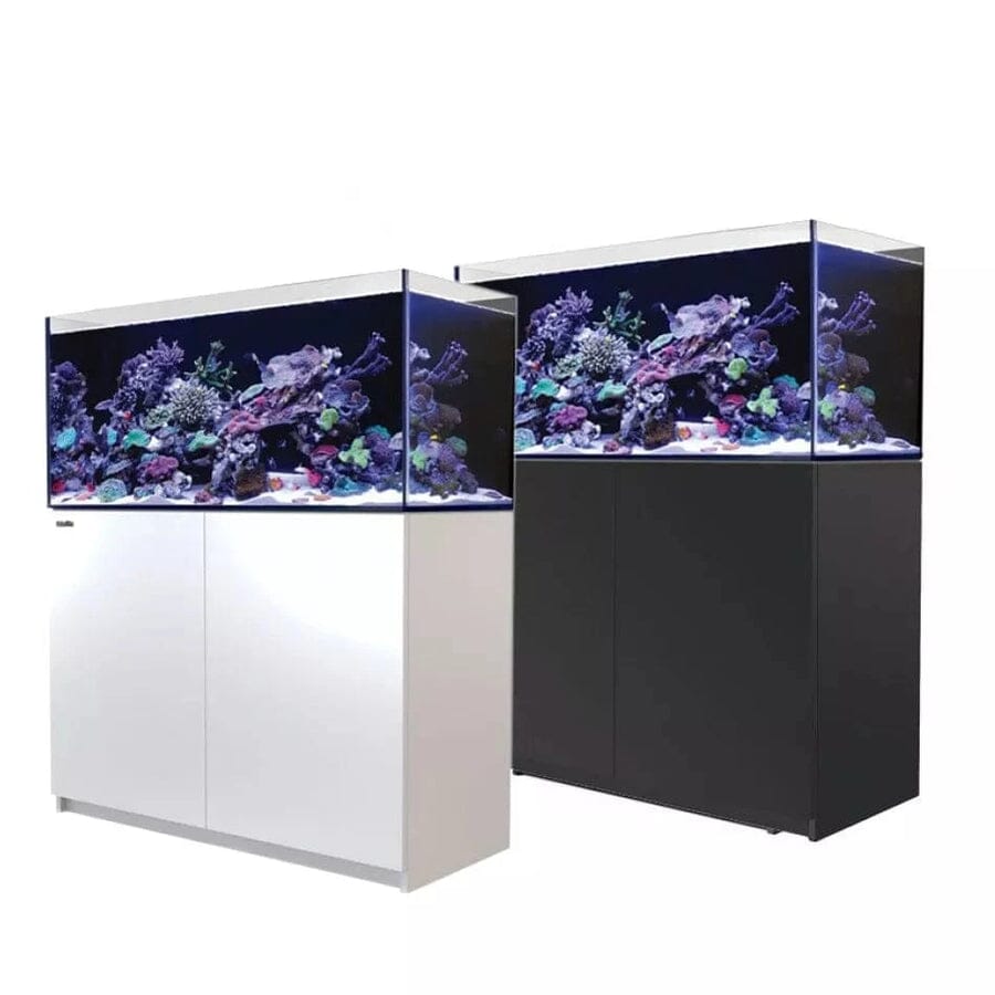RED SEA REEFER 350 G2+ Reef Lounge Coral 