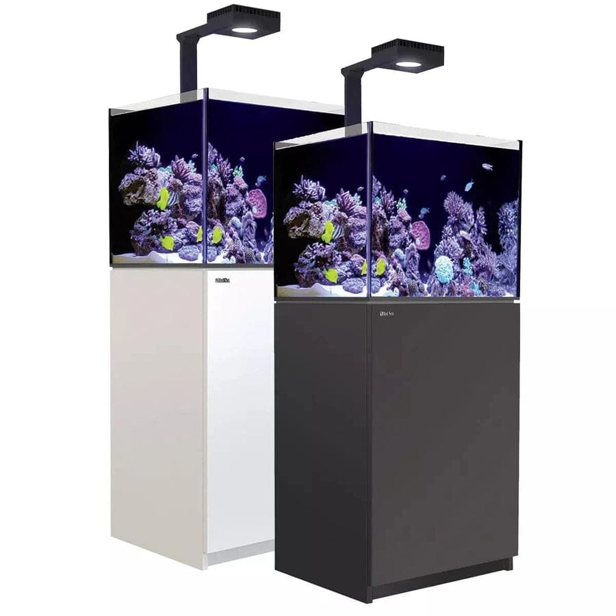 RED SEA Reefer MAX 170 G2+ System Reef Lounge Coral 
