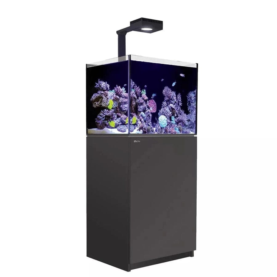 RED SEA Reefer MAX 170 G2+ System Reef Lounge Coral 