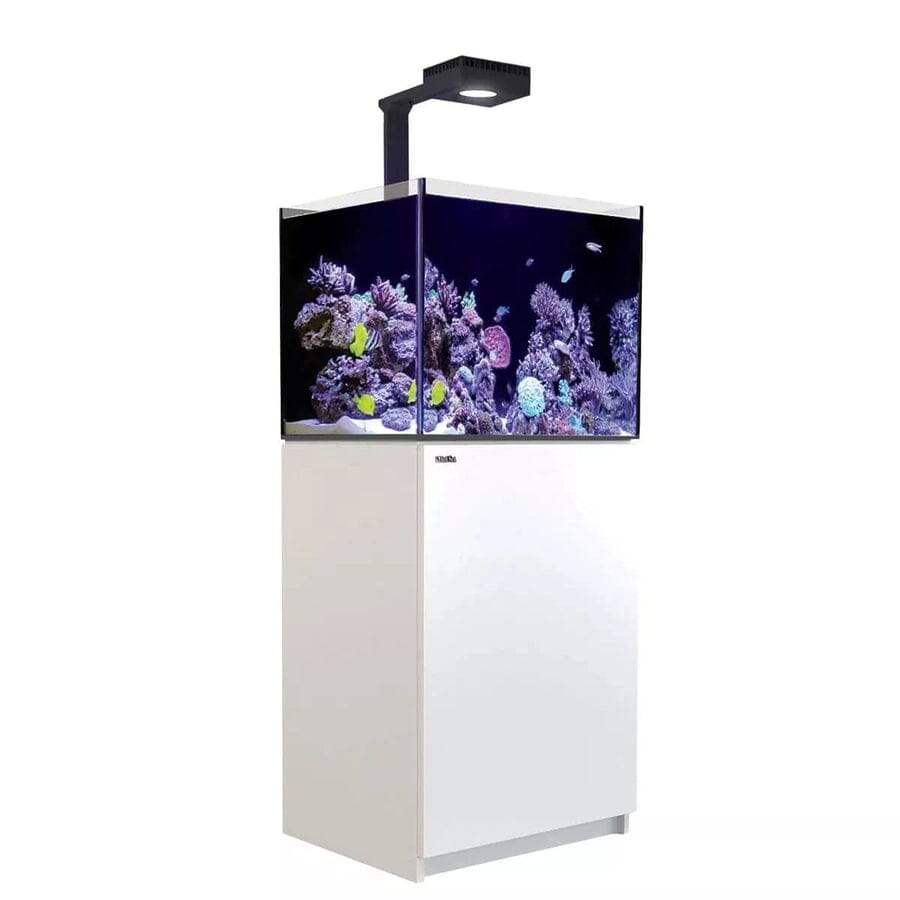 RED SEA Reefer MAX 170 G2+ System Reef Lounge Coral 