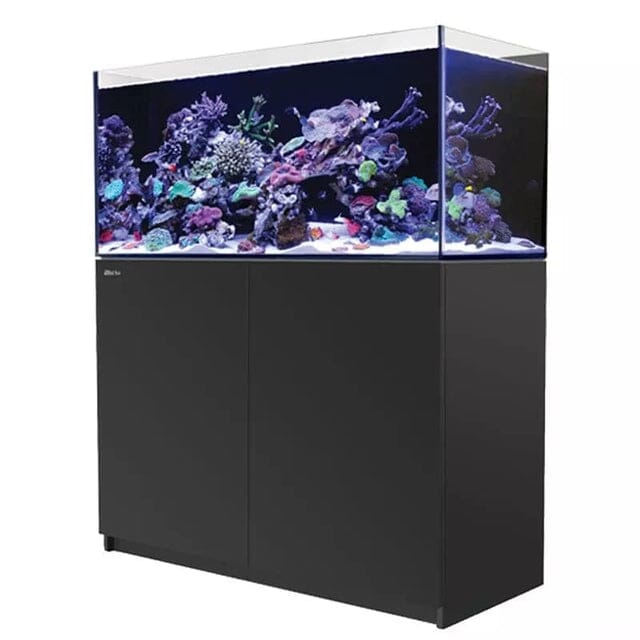 RED SEA REEFER Peninsula 350 G2+ Reef Lounge Coral 