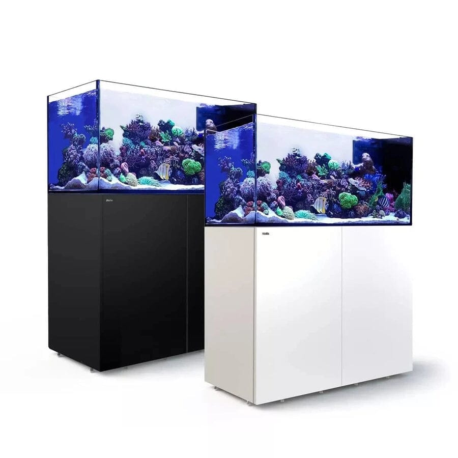 RED SEA REEFER Peninsula 500 G2+ Reef Lounge Coral 