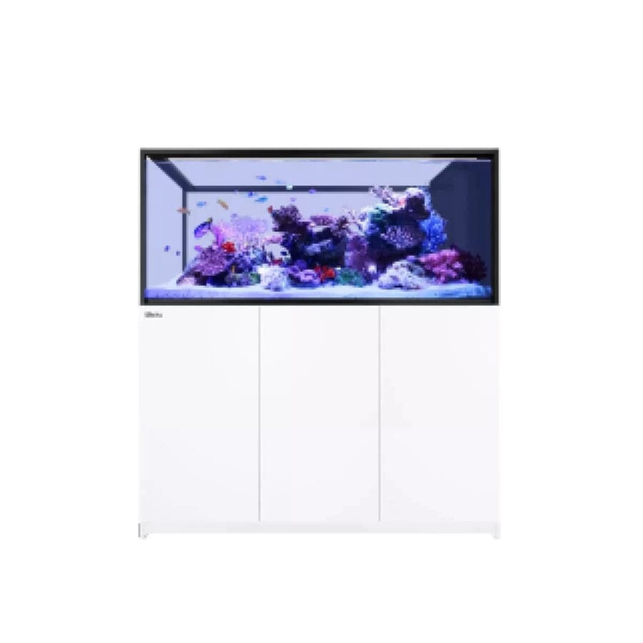 RED SEA REEFER Peninsula S-700 G2+ Reef Lounge Coral 
