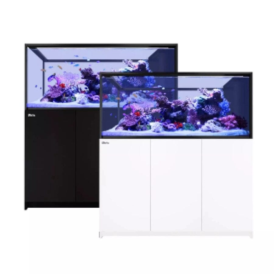 RED SEA REEFER Peninsula S-700 G2+ Reef Lounge Coral 