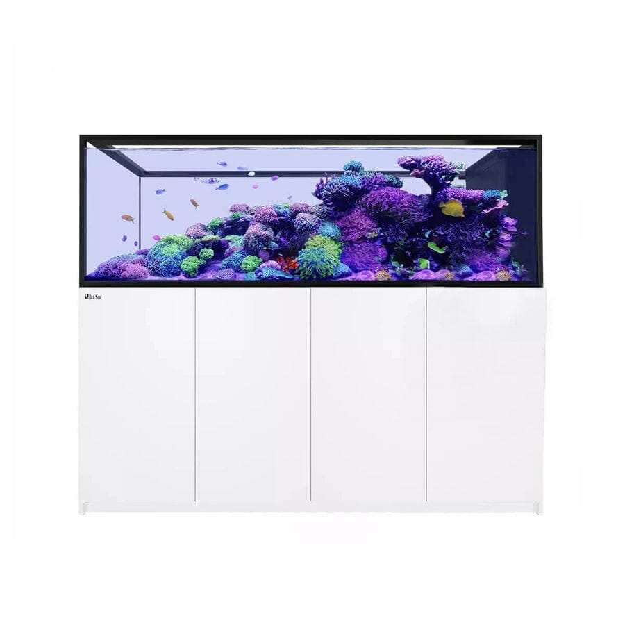 RED SEA REEFER Peninsula S-950 G2+ Reef Lounge Coral 