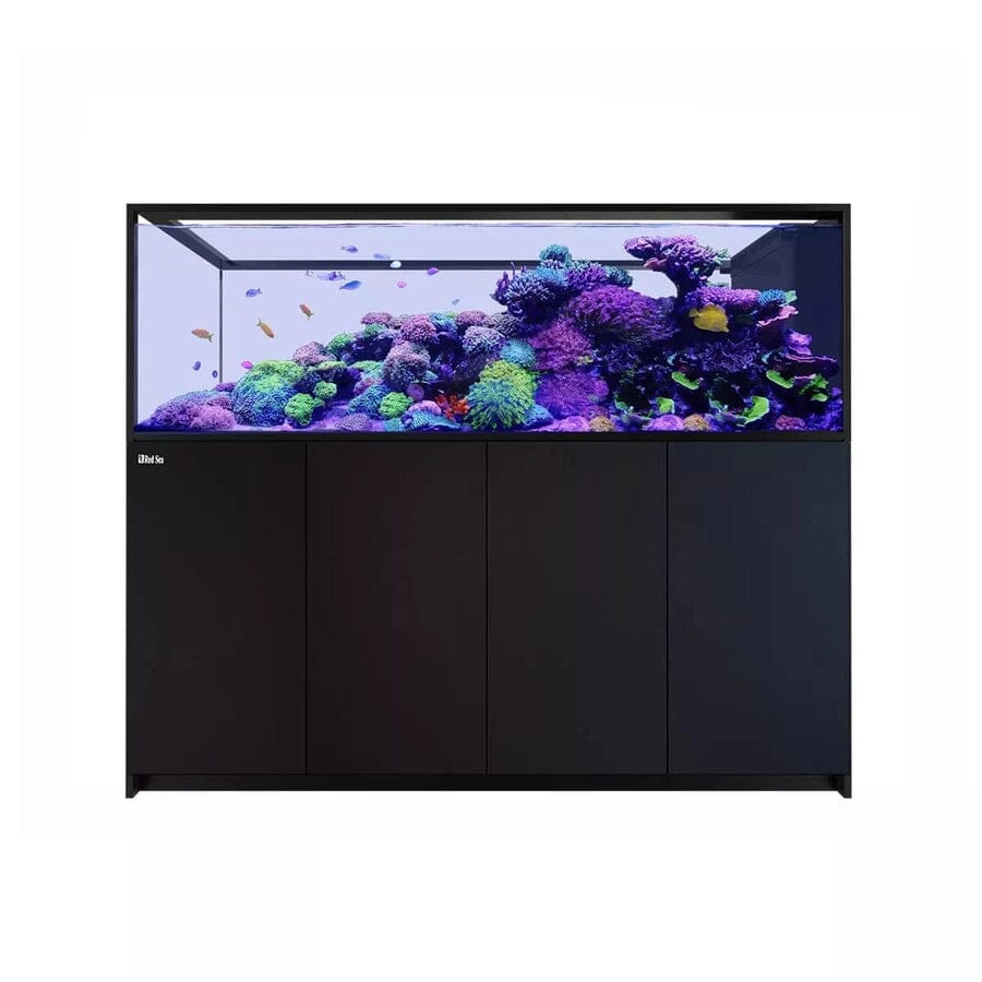 RED SEA REEFER Peninsula S-950 G2+ Reef Lounge Coral 