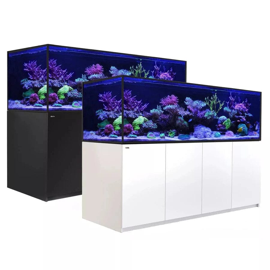 RED SEA REEFER S-1000 G2+ Reef Lounge Coral 