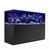 RED SEA REEFER S-1000 G2+ Reef Lounge Coral 