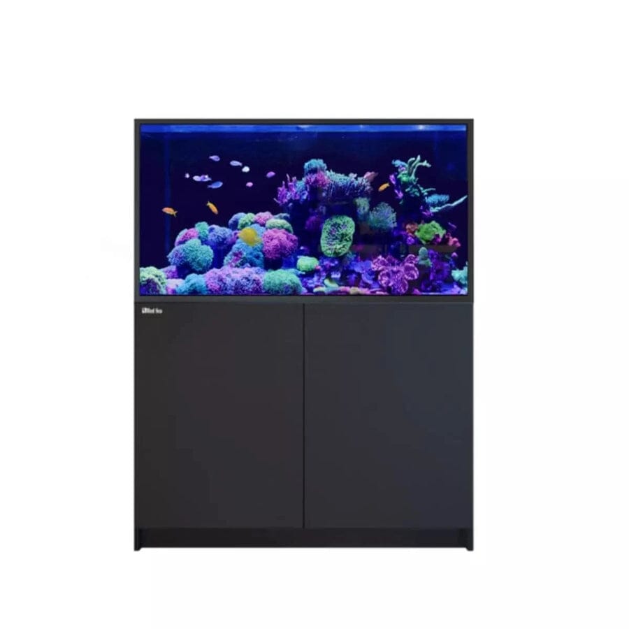RED SEA REEFER S-550 G2+ Reef Lounge Coral 