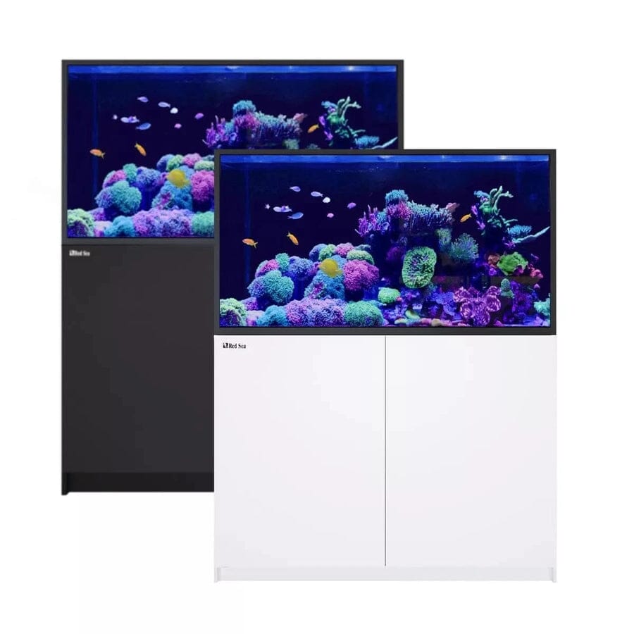RED SEA REEFER S-550 G2+ Reef Lounge Coral 
