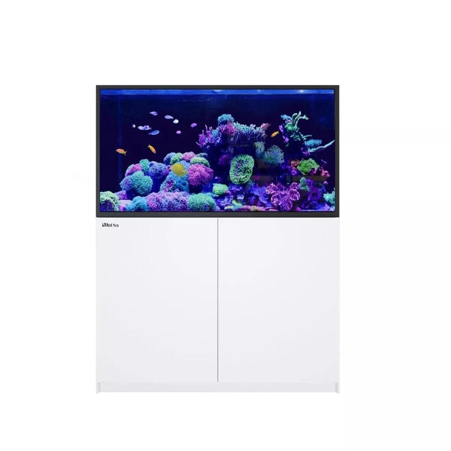 RED SEA REEFER S-550 G2+ Reef Lounge Coral 