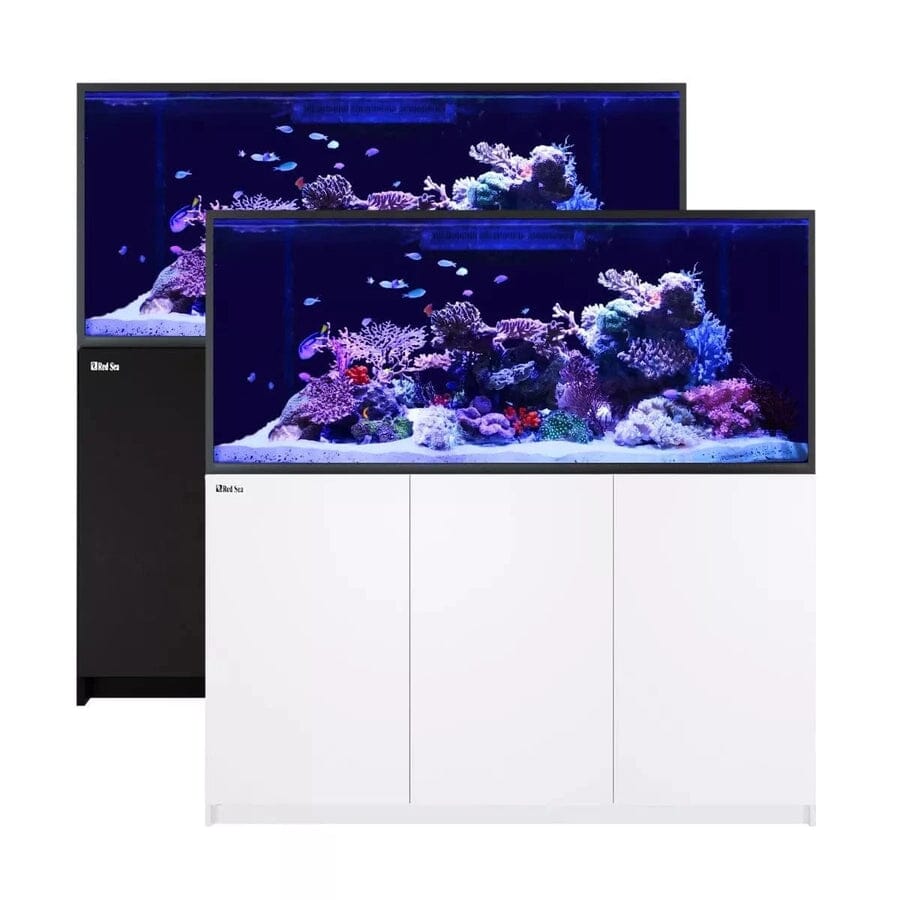 RED SEA REEFER S-700 G2+ Reef Lounge Coral 