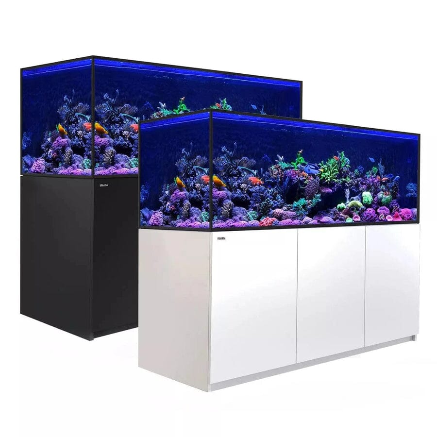 RED SEA REEFER-S 850 G2+ Reef Lounge Coral 