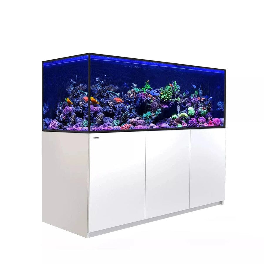 RED SEA REEFER-S 850 G2+ Reef Lounge Coral 