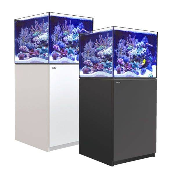 RED SEA REEFER XL 200 G2+ Reef Lounge Coral 