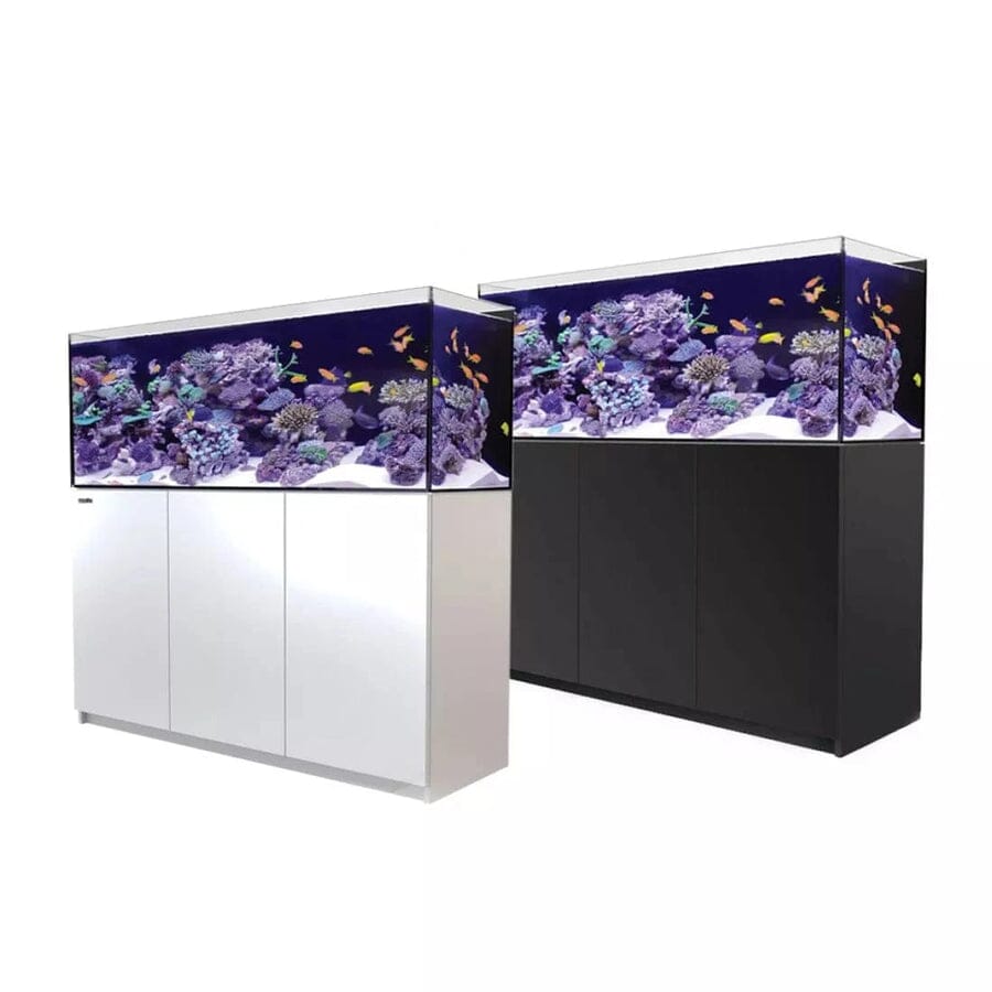 RED SEA REEFER XL 525 G2+ Reef Lounge Coral 