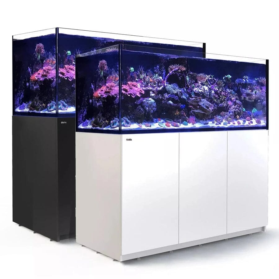 RED SEA REEFER XXL 625 G2+ Reef Lounge Coral 