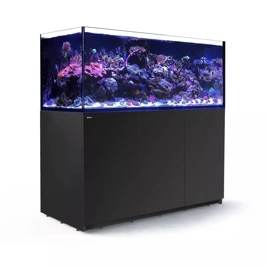 RED SEA REEFER XXL 750 G2+ Reef Lounge Coral 