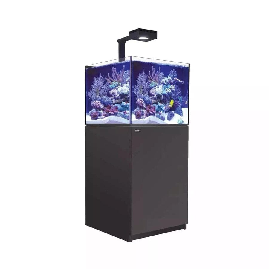 Reefer MAX 200 G2+ System (42 Gal) Reef Lounge Coral 
