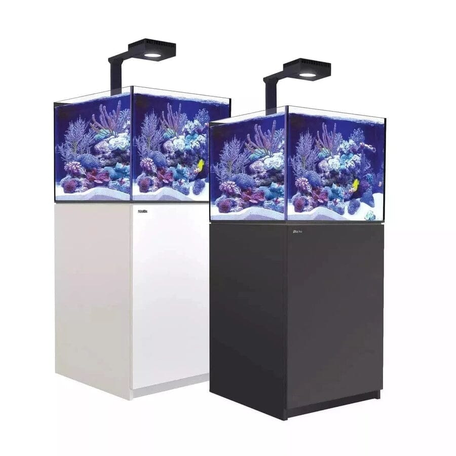 Reefer MAX 200 G2+ System (42 Gal) Reef Lounge Coral 