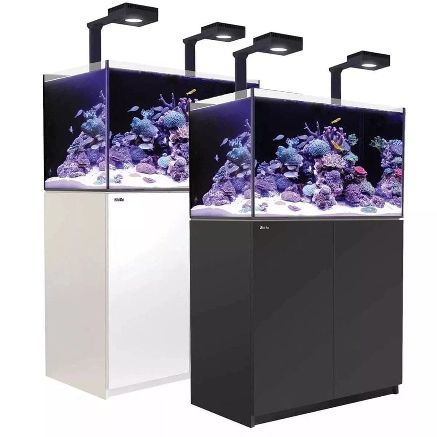 Reefer MAX 250 G2+ System (54 Gal) Reef Lounge Coral 