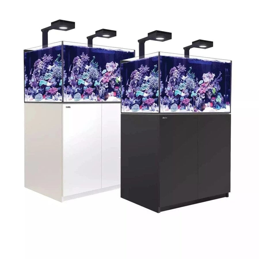 Reefer MAX 300 G2+ System (65 Gal) Reef Lounge Coral 