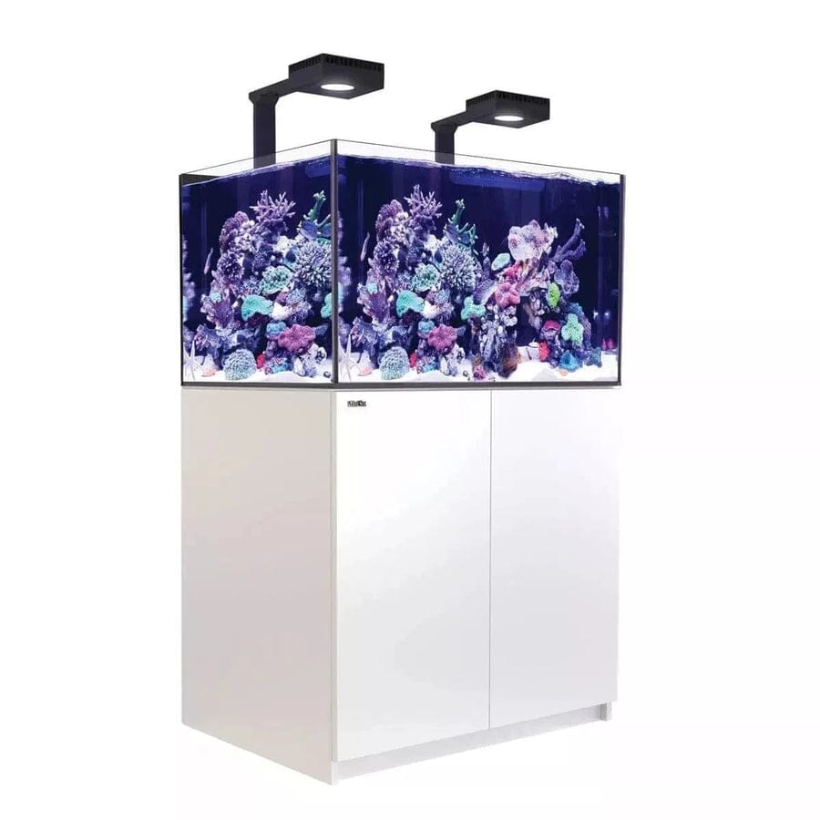 Reefer MAX 300 G2+ System (65 Gal) Reef Lounge Coral 