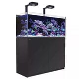 Reefer MAX 350 G2+ System (72 Gal) Reef Lounge Coral 