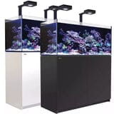 Reefer MAX 350 G2+ System (72 Gal) Reef Lounge Coral 