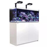 Reefer MAX 350 G2+ System (72 Gal) Reef Lounge Coral 