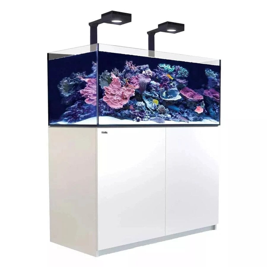 Reefer MAX 425 G2+ System (91 Gal) Reef Lounge Coral 