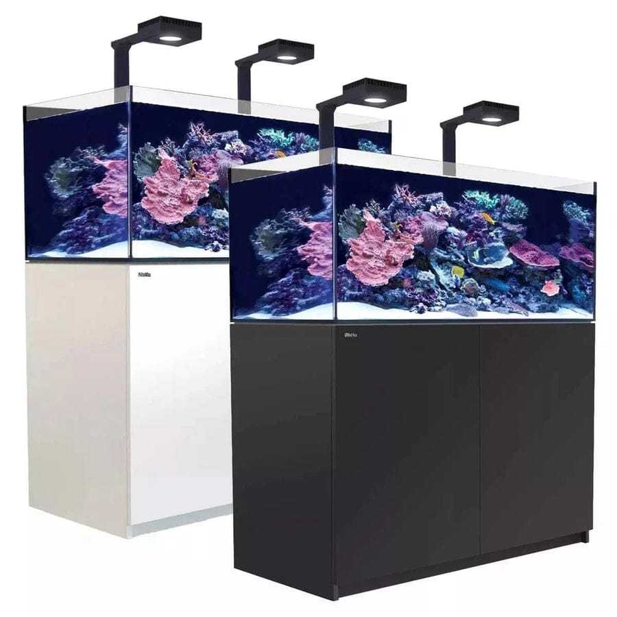 Reefer MAX 425 G2+ System (91 Gal) Reef Lounge Coral 