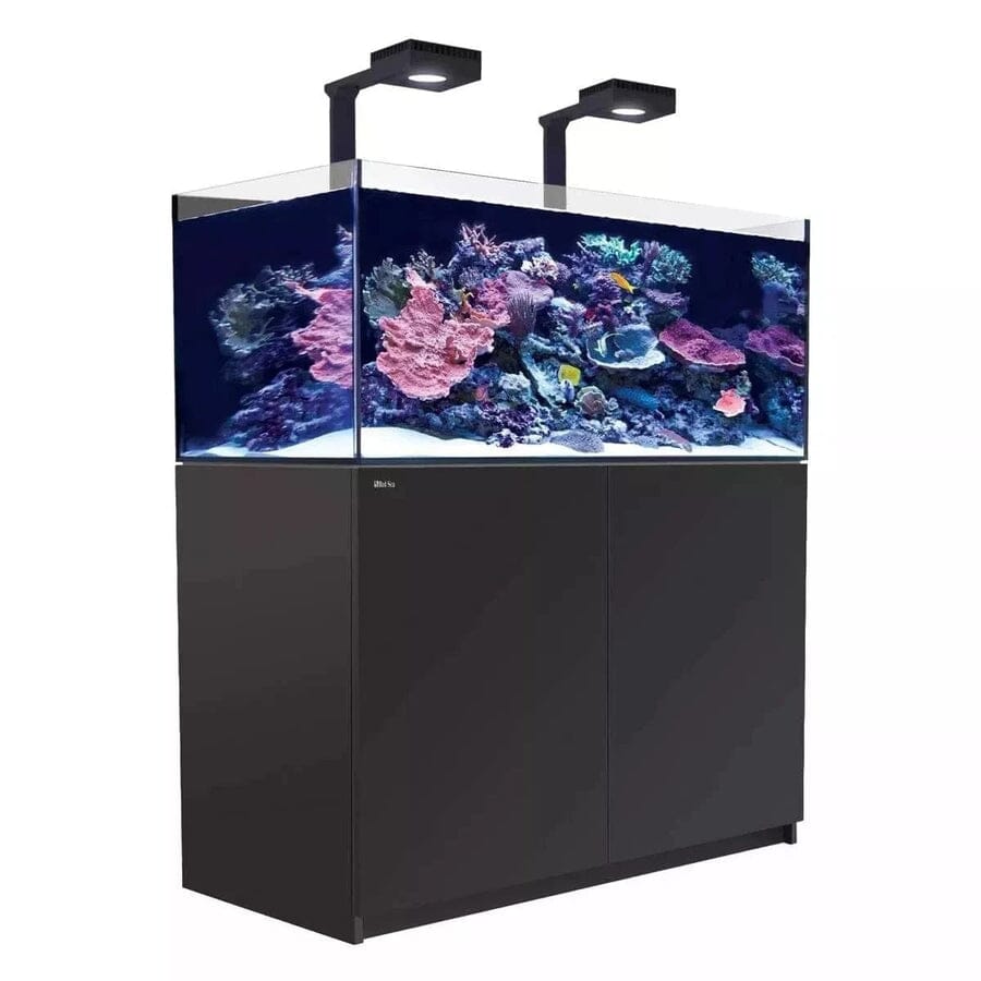 Reefer MAX 425 G2+ System (91 Gal) Reef Lounge Coral 