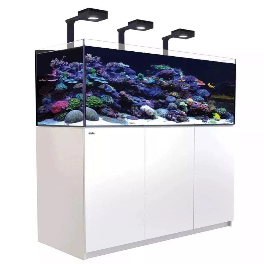 Reefer MAX 525 G2+ System (112 Gal) Reef Lounge Coral 