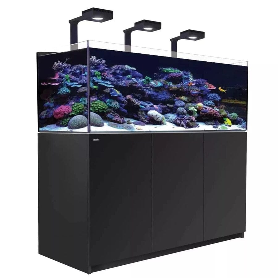 Reefer MAX 525 G2+ System (112 Gal) Reef Lounge Coral 